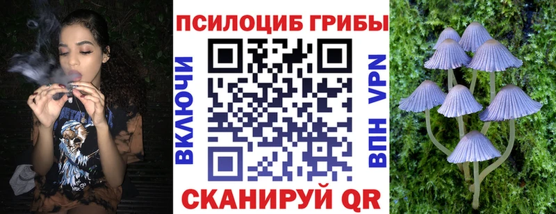 Купить  Нелидово  Псилоцибиновые грибы MAGIC MUSHROOMS 