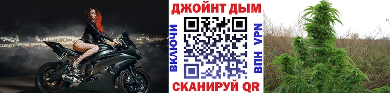 Конопля ГИДРОПОН Нелидово